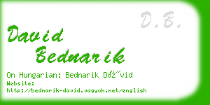 david bednarik business card